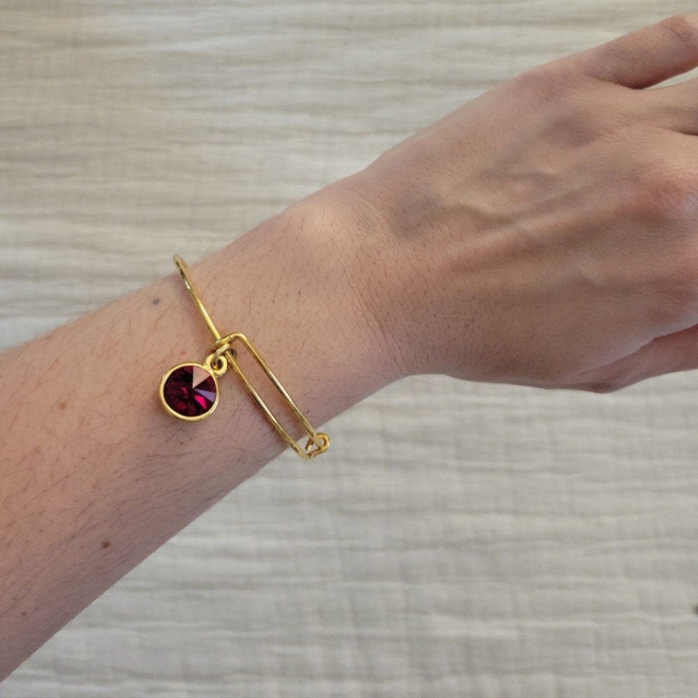 ALEX + ANI January Birthstone Garnet Bangle Bracelet
